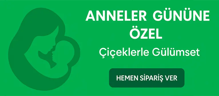 Maltepe Çiçekçi - Anneler Günü Çiçekleri