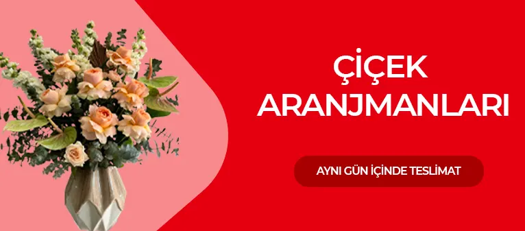 Çiçek Aranjmanları ve Fiyatları