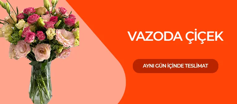 Maltepe Çiçekçi - Vazolu Canlı Çiçek