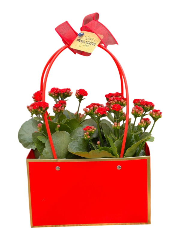 Kırmızı Çantada Çiçek (Kalanşo)