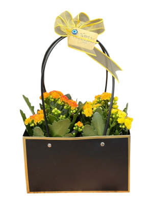 Siyah Çantada Çiçek - Sarı & Turuncu Kalanşo