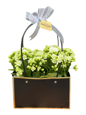 Siyah Çantada Çiçek – Beyaz Kalanşo